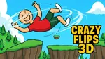 Crazy Flips 3D - 在线游戏
